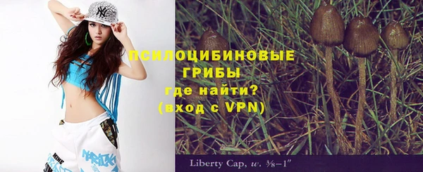тгк Лиски