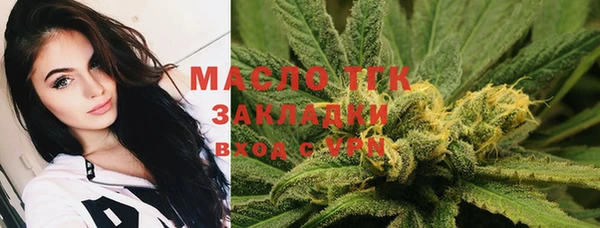тгк Лиски