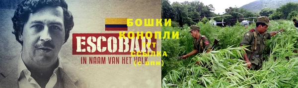 тгк Лиски
